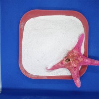 工業(yè)活性鈣價(jià)格固化劑活性碳酸鈣活性鈣325目-3000目